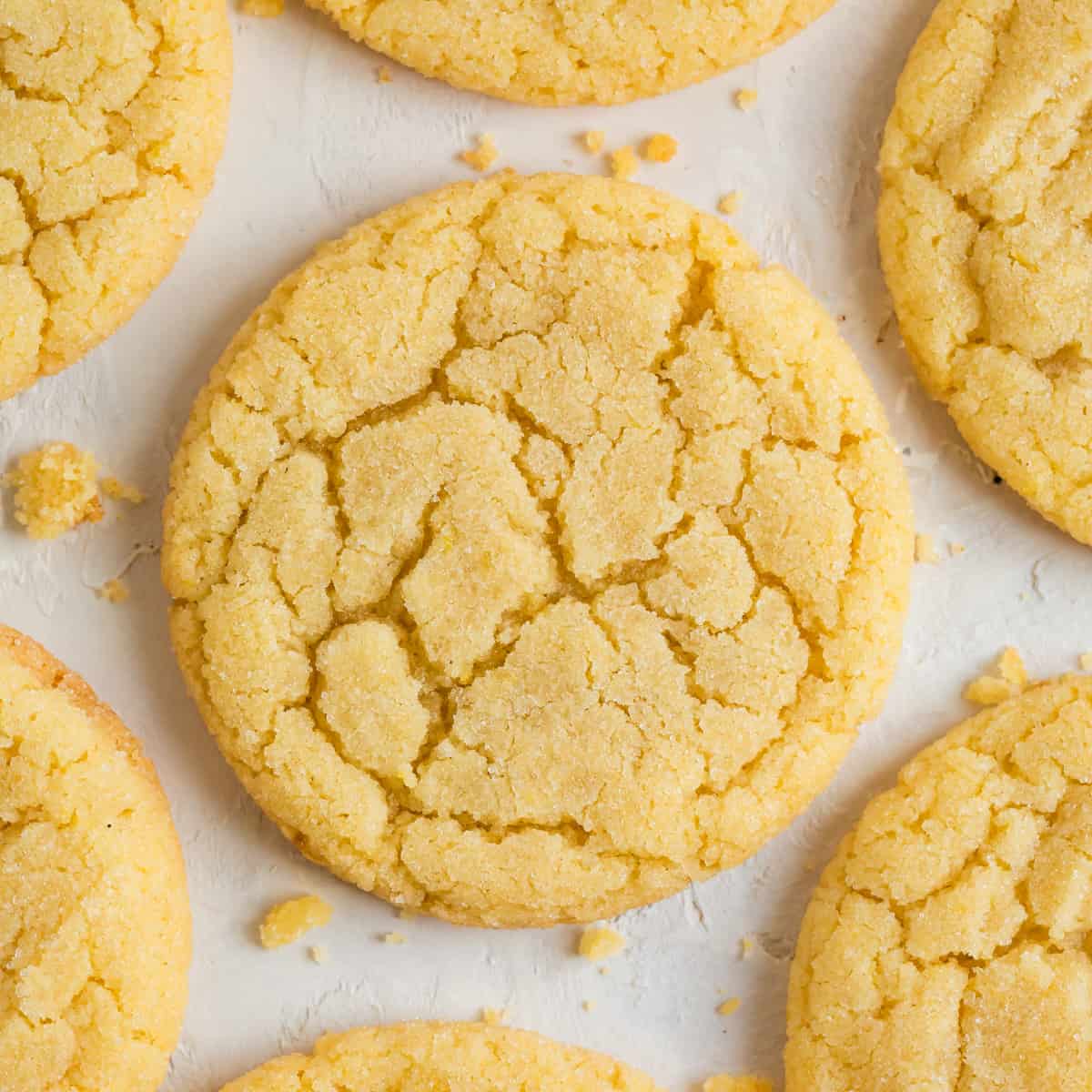 Vanilla Kiss Sugar Cookie
